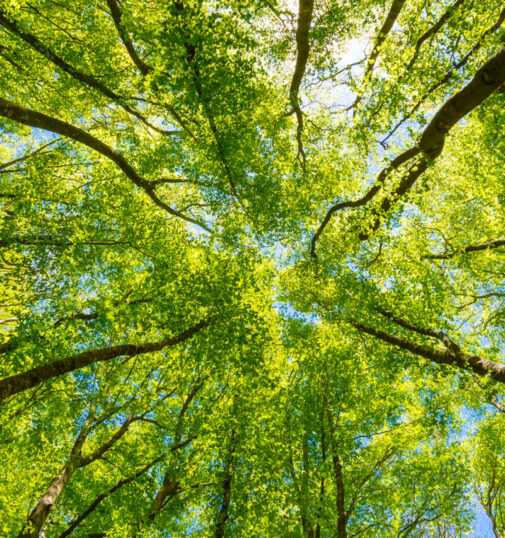 Unser Vorgehen ist mehrdimensional - abidat